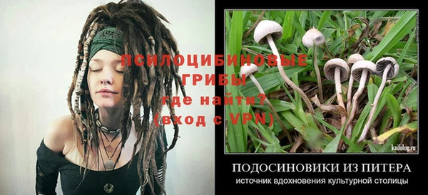 хмурый Алексеевка