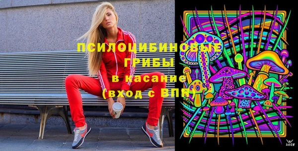 гидропоника Алзамай
