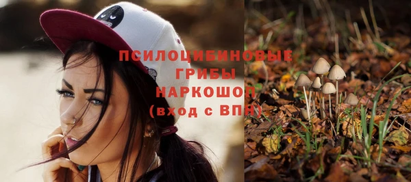 гидропоника Алзамай