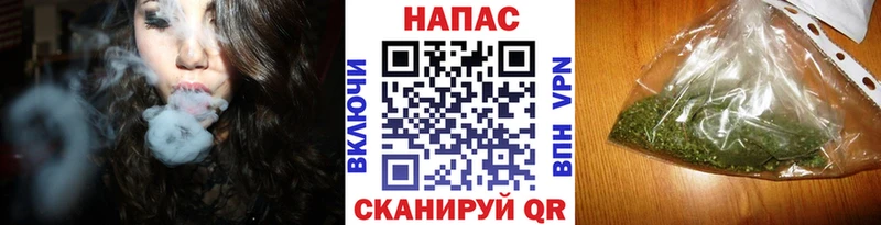 Бошки марихуана THC 21% дарк нет Telegram Киселёвск